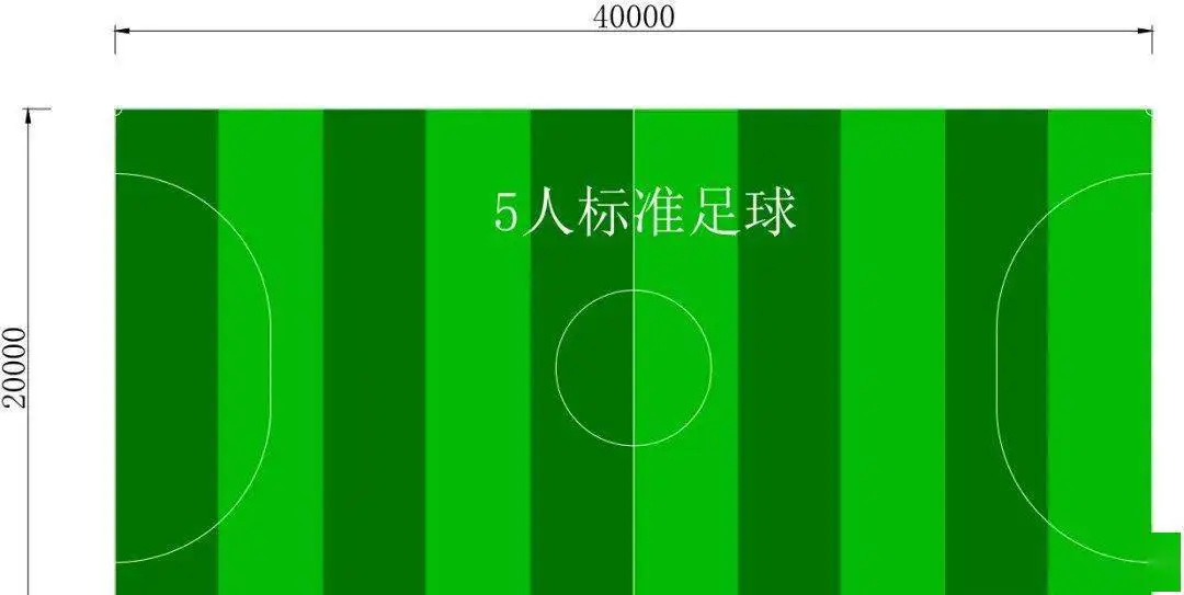 篮球试训前的体能训练方案_1